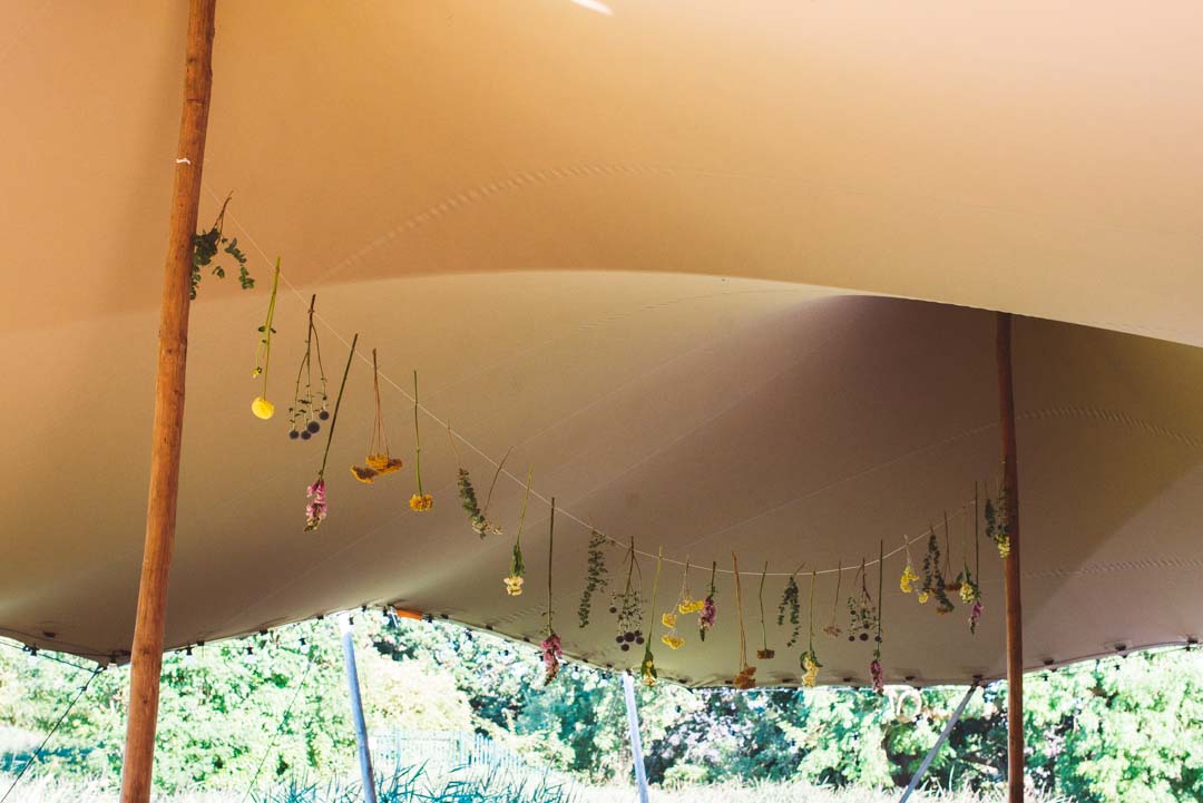 North London Wedding Venues Woodberry Wetlands the canopy