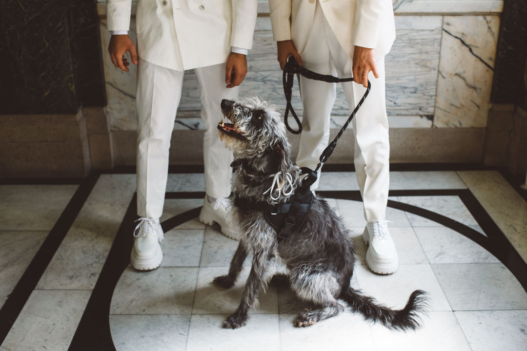 two grooms with their dog Islington Town Hall