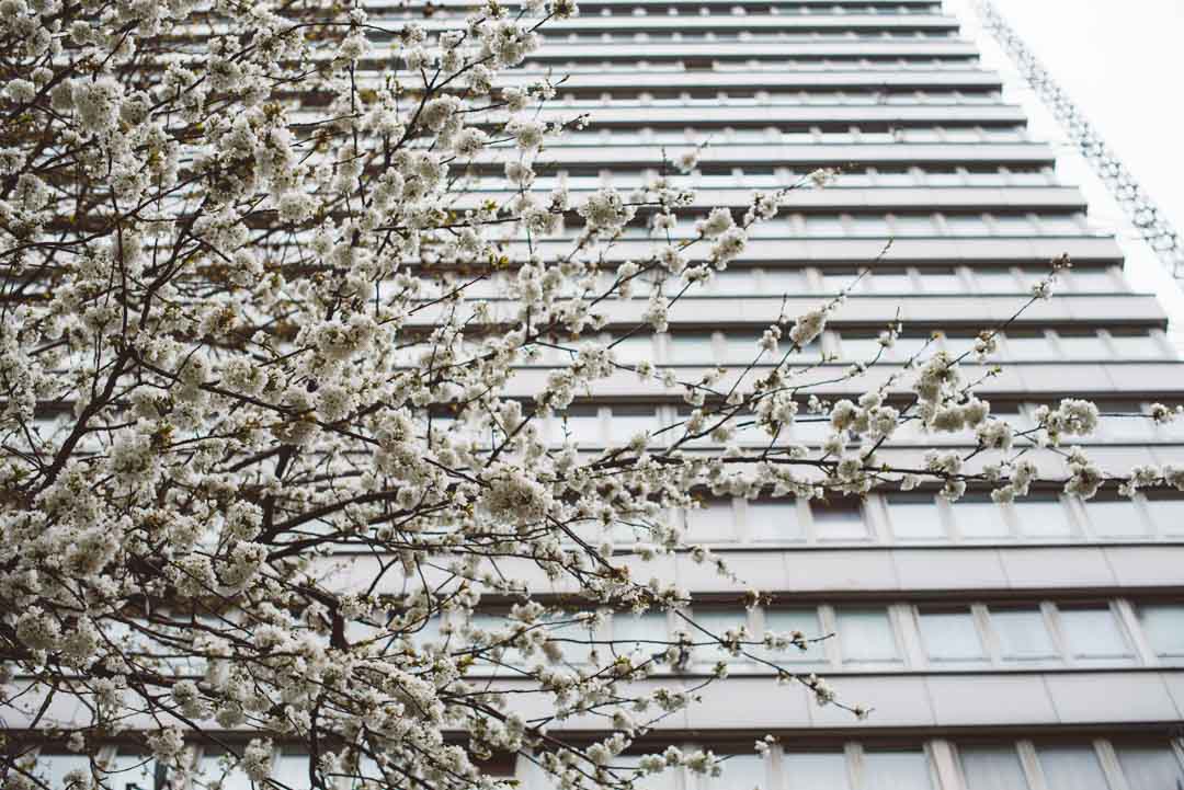 Barbican wedding