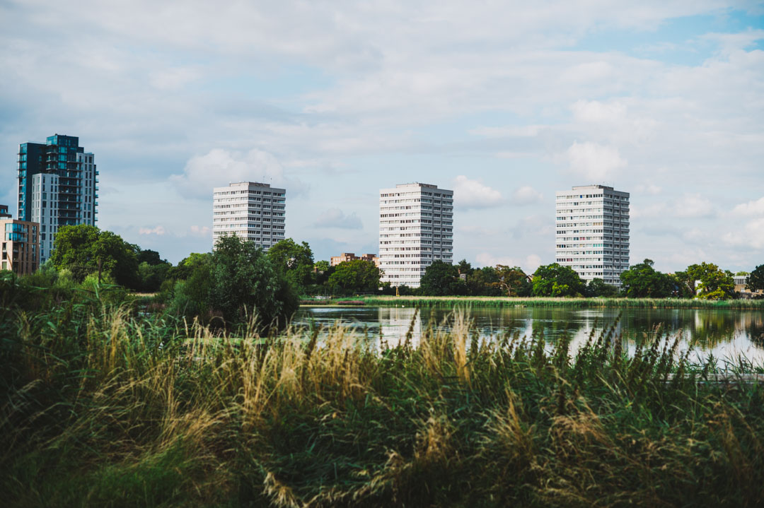 Woodberry Wetlands wedding landscape